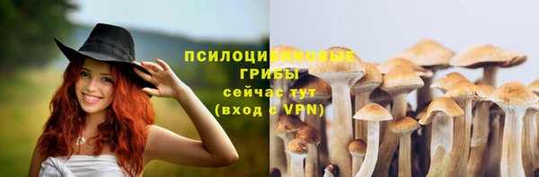 эйфоретик Алзамай